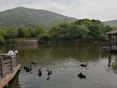 -无锡动物园·太湖欢乐园