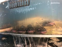 -屯老二农家铁锅炖·行业领军者(梅江店)