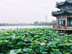 -济南大明湖景区