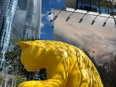 -深圳湾万象城(南山店)