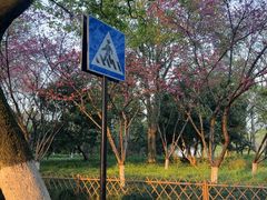 -中国茶叶博物馆(双峰馆区)