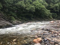 -黑河国家森林公园