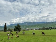 -新疆那拉提国家旅游度假区