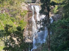 -海南热带雨林国家公园吊罗山景区