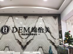 -DEM缔怡美科技美容