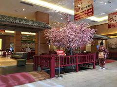 -大江户·温泉洗浴(浑南店)