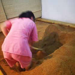 -敖东酵素·离子暖房