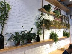 -拌面小当家