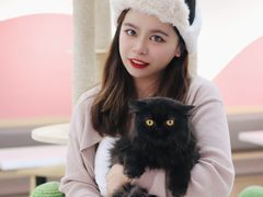 -喵园·猫主题咖啡厅·撸猫·猫咖(国贸店)