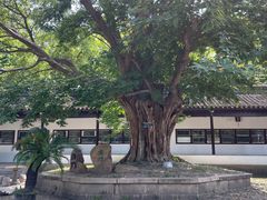 -苏州文庙(姑苏区)