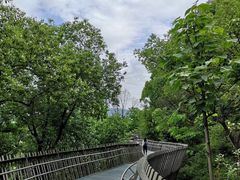 -梅峰山地公园