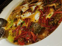 大盘酸菜鲈鱼-九毛九西北菜(番禺万达店)