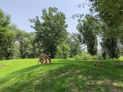 -北京野生动物园
