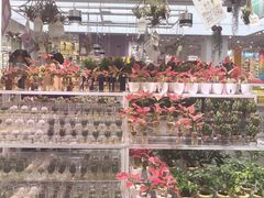 -KKV(深圳宏发大仟里店)