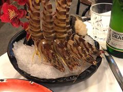 -鲜入围煮花胶鸡海鲜火锅