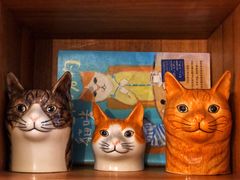 -懒鱼时光馆(沙坪坝店)