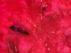 -肉串汪(望京店)