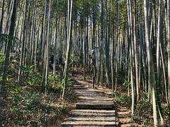 -南山风景名胜区