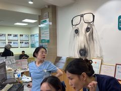 -美联众合动物医院·24h转诊中心