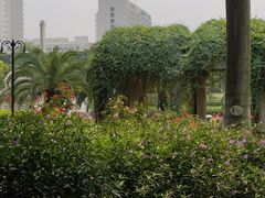 -文华公园(禅城区)
