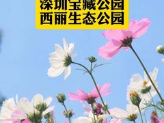 -麗枫酒店(深圳机场福永地铁站店)