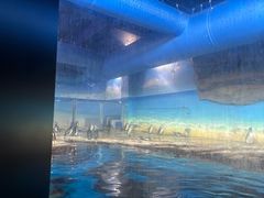 -海合安武汉极地海洋公园