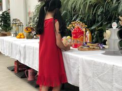 -前小桔亲子创意农场·草莓采摘·露营烧烤