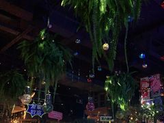 -胡桃里乐队酒馆(大庆店)