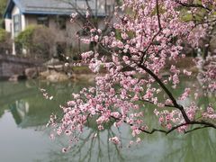 -超山青莲寺