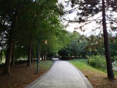 -同里国家湿地公园