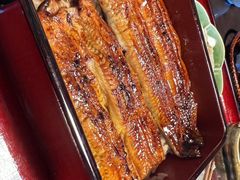 -料亭菊水楼