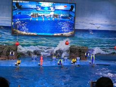 -多彩贵州城极地海洋世界