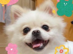 -绿姿鲜奶烘焙(世南西路店)