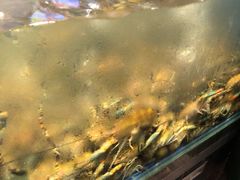 -熊记虾王·小龙虾(东晓南店)