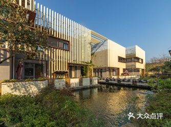 住进安吉丨与大竹海共居，在白茶园漫步