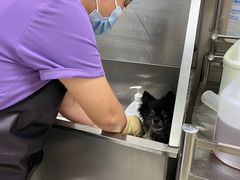 -北京观赏动物医院·24小时大型综合·猫专科·异宠专科