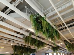 大堂-宝珠奶酪(浦东金桥店)