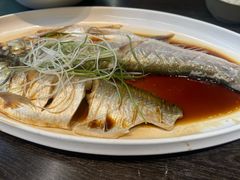 清蒸白水鱼-乌记大厨餐厅