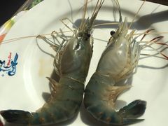 -小天鹅戴斯酒店鲸鲨百汇创作料理