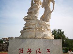 -曹州牡丹园