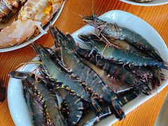 -15年老字号鑫鑫猪肚鸡·椰子鸡海南火锅(兴隆华侨农场店)