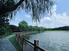 -黄兴公园