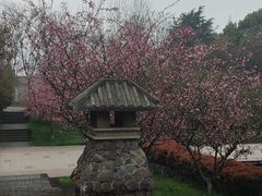 -南京市江宁方山