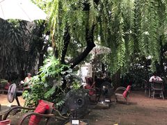 -Fern Forest Cafe