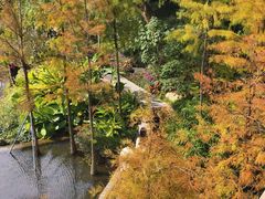-云溪植物园