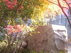 -杭州半山国家森林公园