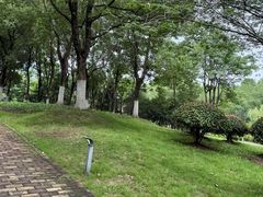 -滨湖塘西河公园
