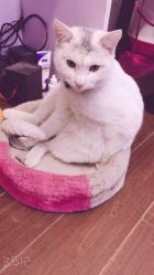 -梵梦影像馆(绿博园店)