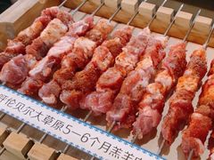 -很久以前羊肉串(朝阳路店)