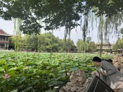 -莲池书院博物馆